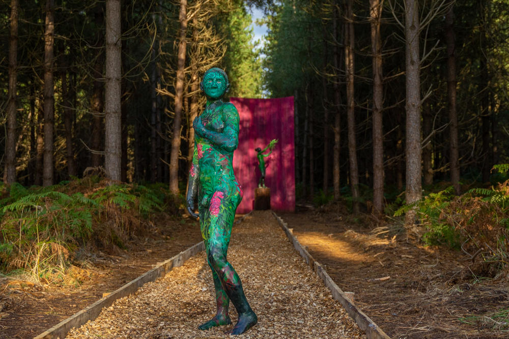 David - The Avenue